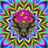 Trippy Way Psychedelics