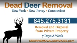 Dead Deer Removal
