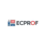 Eccentric Professionals Limited