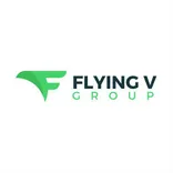 Flying V Group Digital Marketing