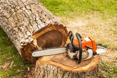 First Coast Choppers Tree Service