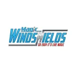 Magic Windshields