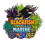 Blackfish Marine
