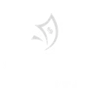 Contabilistas Porto