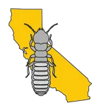 Hume Termite