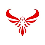Skye Tech Security Systems Inc.