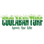 Coolabah Turf