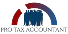 Pro Tax Accountant