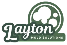 Mold Remediation Layton Experts