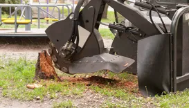 Rotherham Stump Grinding