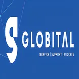 Globital AI Optimised Agency