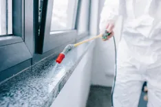 PestControlUpperHutt.co.nz