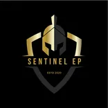 Sentinel Executive Protection Group