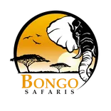 Bongo Adventures Limited