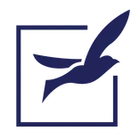 Untethered Travel Co.