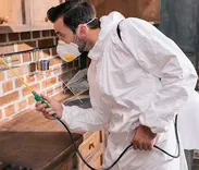 Affordable Pest Control Bronx