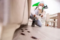 Hot Air Balloon Termite Removal Experts