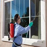 Red Rose City Termite Removal Experts