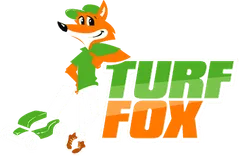 Turf Fox
