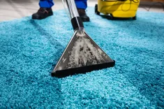 Rug Cleaning Inner West