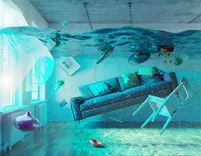 Flood Damage Restoration Bondi Junction