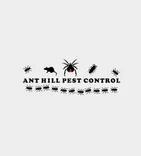 Ant hill pest control