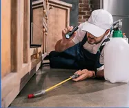 Santa Ana Pest Control Experts