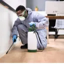 Laurel Bushes Termite Removal Experts