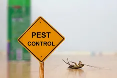 Mick’s Pest Control Brisbane