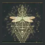 Raising Vibrations PLLC