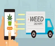 Cannabis Delivery, Cannabis Delivery