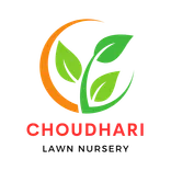 Chaudhari Lawn Nursery