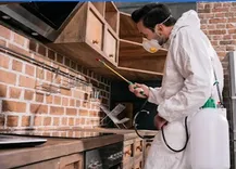 All-Pro Pest Control Seattle