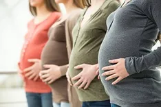 Fertility Lawyers