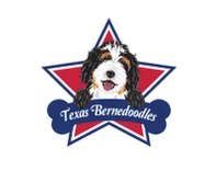 Tx Bernedoodles