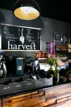Harvest Coffee