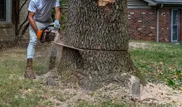 Fleet Farmington Tree Service
