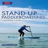 best pickleball paddle for beginners Pro paddle