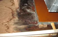 Mold Remediation Provo UT Solutions