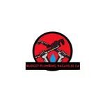 Budget Plumbing Vacaville CA