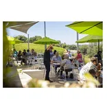 La Mesa Vineyards