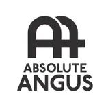 Absolute Angus