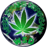  WEED STRAINS DISPENSARY