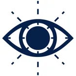 Transly Translation Agency