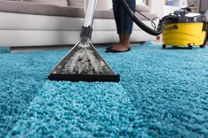 Pristine Rug Cleaners