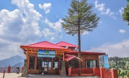 Himalayan Kiwi Kanatal