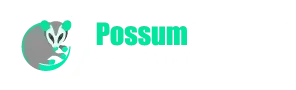 Possum Removal Adelaide