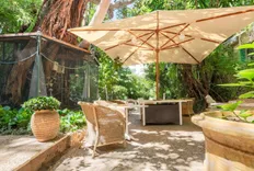 Le Windsor Jungle Art Hotel