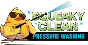 Squeaky Clean Pressure Washing
