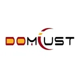 Domlust Dildos Sex Store